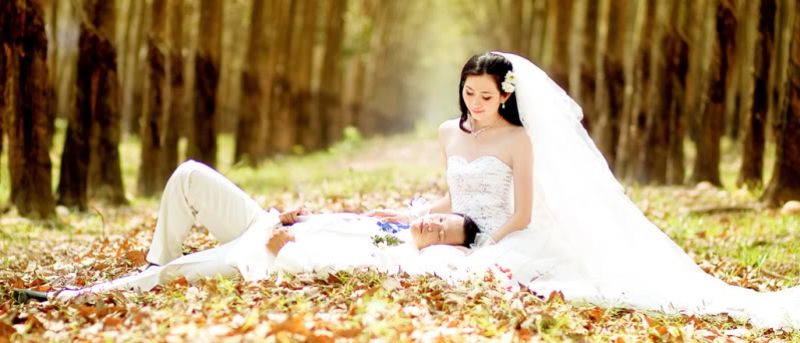 Cặp đôi chụp ảnh cưới trong rừng