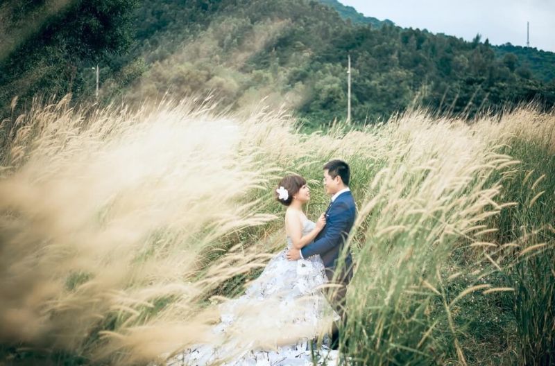chụp ảnh cưới ở cánh đồng cỏ lau 