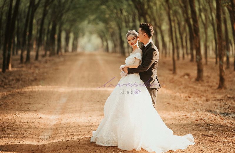 Chụp ảnh cưới vintage tại rừng cây lãng mạn