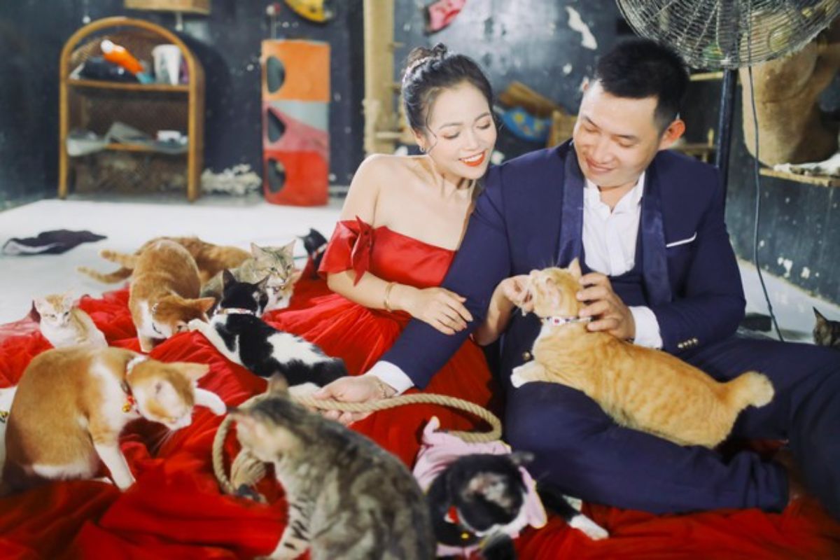 chụp ảnh cưới với mèo -3