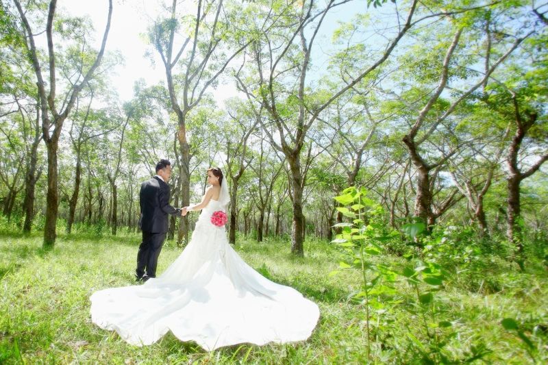 chú rể và cô dâu đứng trong rừng cây xanh mướt