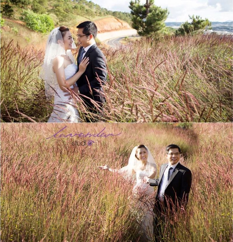 chụp hình cưới ở Châu Âu bên đồng cỏ