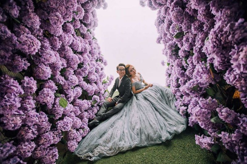 chụp hình cưới phim trường quận 9 có đầy hoa màu tím