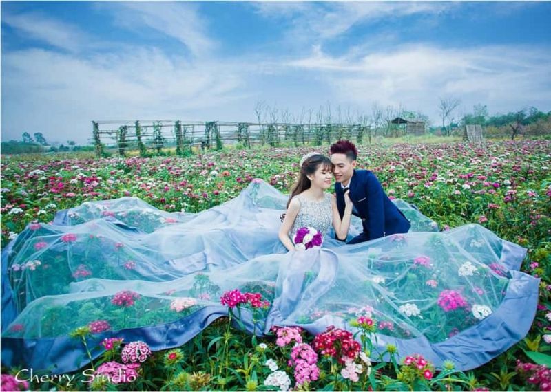 cô dâu chú rể ngồi chụp hình ở vườn hoa cẩm tú