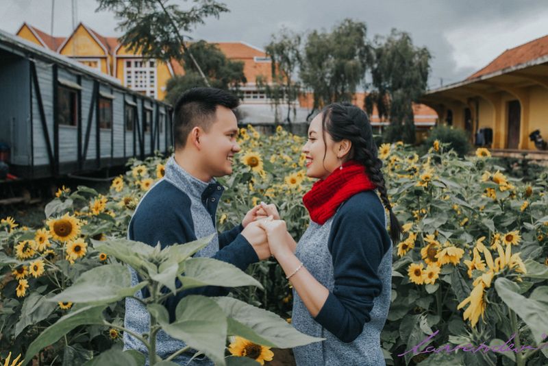 Khi nào nên chụp ảnh cưới | chụp ảnh cưới mùa xuân hoa hướng dương nở vàng rực