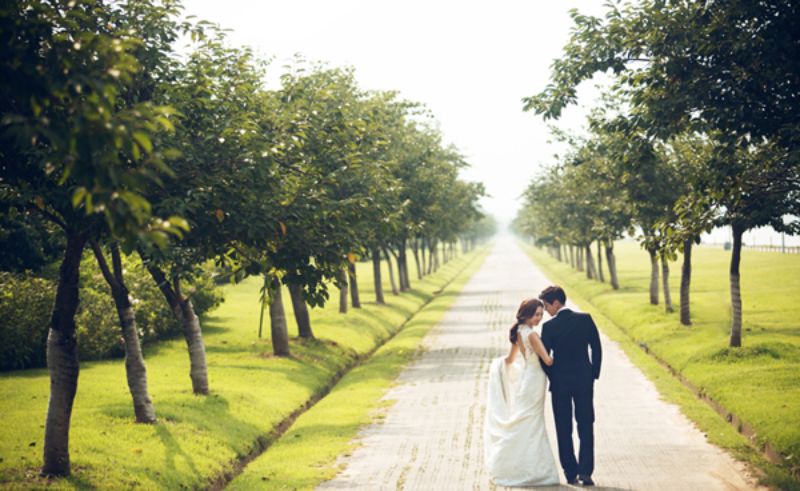 giữa hai hàng cây xanh có cô dâu vfa chú rể đi bộ