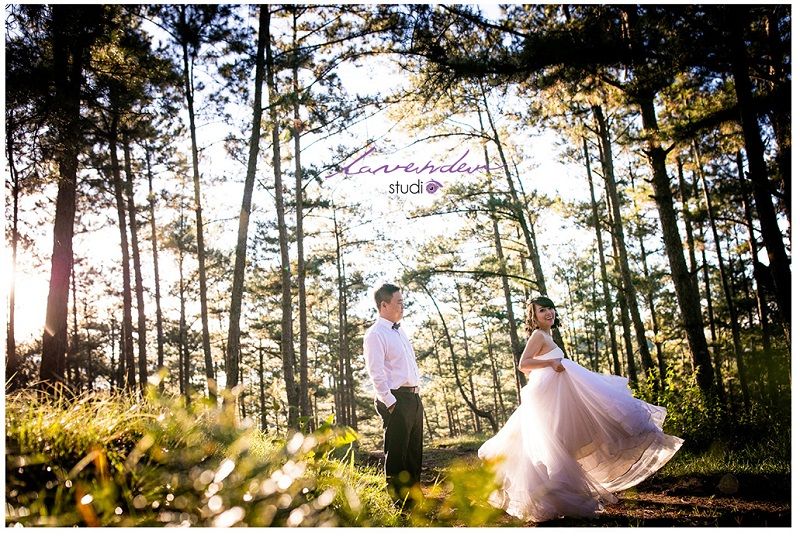 quay phim chụp ảnh cưới giá rẻ trong rừng đà lạt