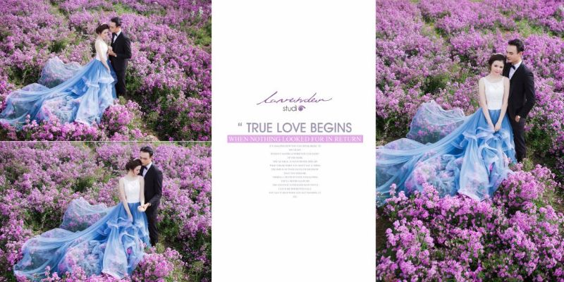 chụp ảnh cưới với cánh đồng hoa lavender