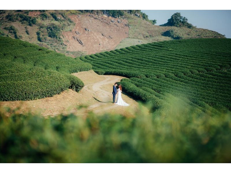 Studio chụp ảnh cưới đẹp Hà Nội ở đồi cây xanh