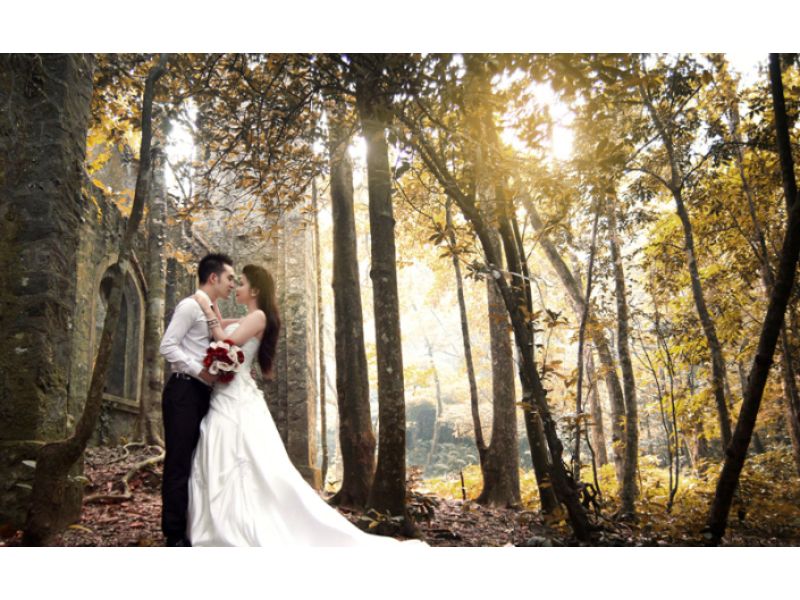 Studio chụp ảnh cưới đẹp Hà Nội trong rừng cây