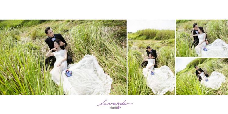 Chụp ảnh cưới ngoại cảnh ở đồng cỏ