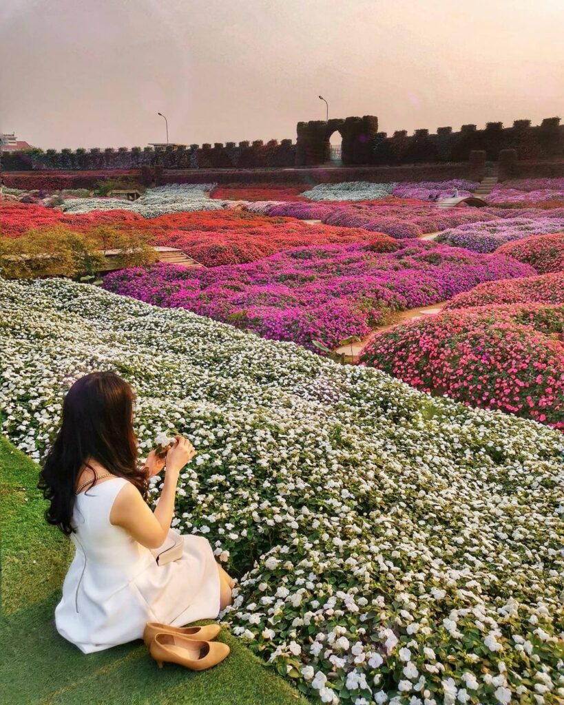 Năm 2025 nên chụp ảnh tết ở đâu Hà Nội bạn đã biết chưa?