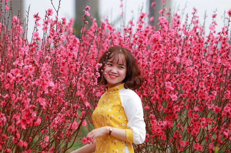 Năm 2025 nên chụp ảnh tết ở đâu Hà Nội bạn đã biết chưa?