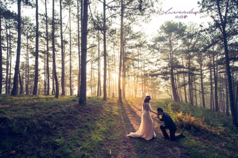 Studio chụp ảnh cưới Mộc Châu - Hãy khám phá ngay những tác phẩm ảnh cưới tuyệt đẹp được chụp tại studio Mộc Châu. Với không gian xanh tươi, rực rỡ màu sắc hoa, bạn sẽ có những bức ảnh cưới đẹp như mơ, để kỷ niệm thời khắc quan trọng nhất trong đời mình.