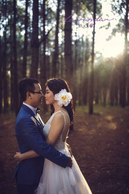 chụp ảnh cưới hàn quốc ở rừng thông