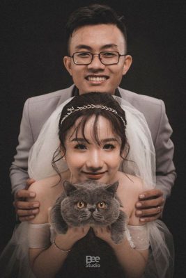 cô dâu chú rể mèo đen cùng đặt cằm lên nhau