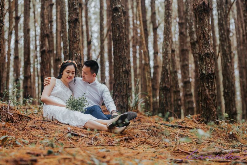 Nên chụp ảnh cưới vào tháng mấy | Chụp ảnh cưới ở rừng cây vào mùa thu