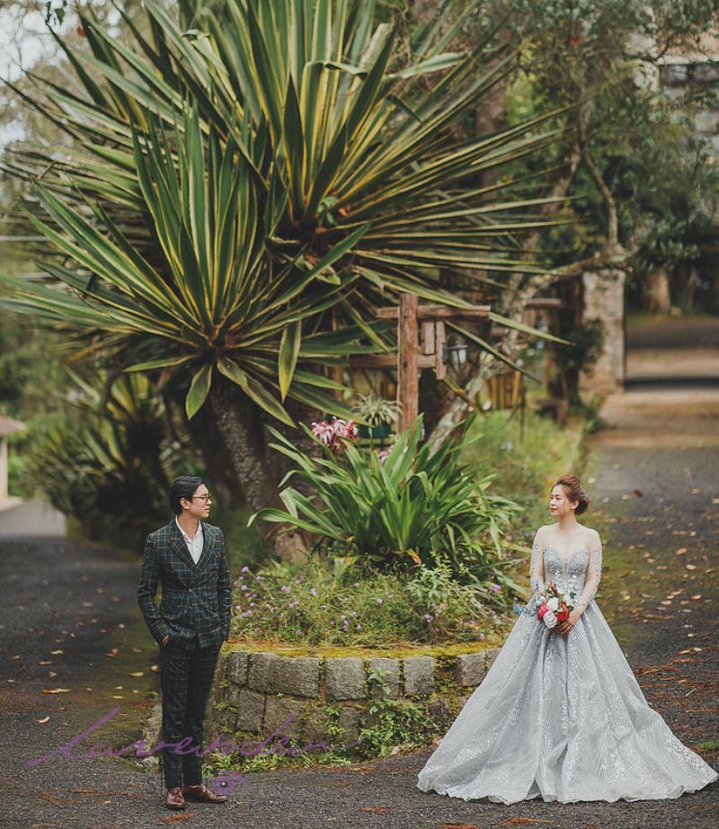 Nên chụp ảnh cưới vào tháng mấy | Chụp ảnh cưới vào mùa xuân cây cối xanh tươi