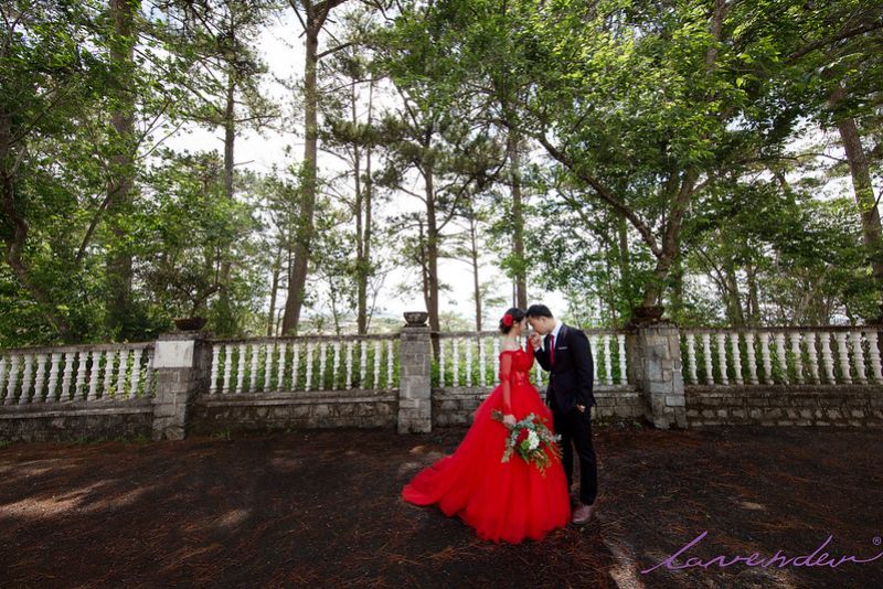 Nên chụp ảnh cưới vào tháng mấy | Chụp ảnh cưới vào mùa xuân bên rừng cây